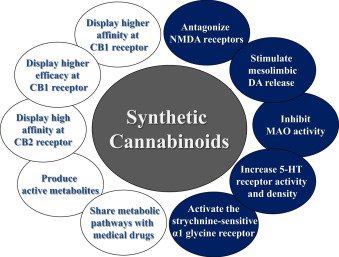synthetic cannabiniods