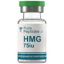 HMG 75IU Vial × 6 Vials
